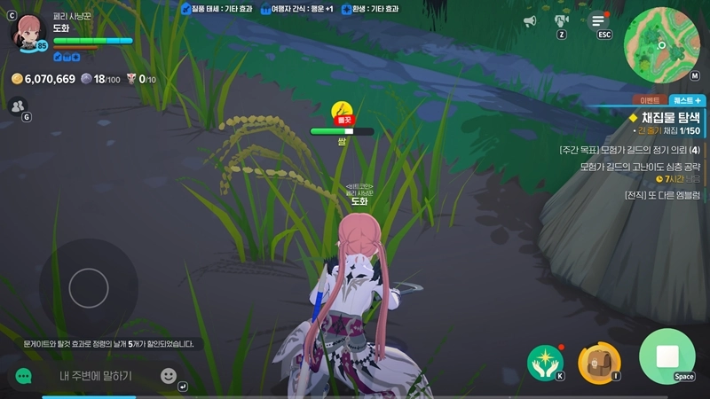 마비노기 모바일 쌀 무한 수급 현실적인 방법과 2025년 최신 공략 24 마비노기 모바일 쌀 무한 수급 현실적인 방법과 2025년 최신 공략