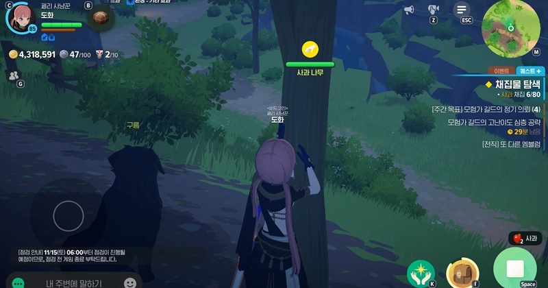 마비노기 모바일 황금 사과, 이거 하나면 당신도 생활 마스터? (얻는 법, 무한 채집 공략) 4 마비노기 모바일 황금 사과, 이거 하나면 당신도 생활 마스터? (얻는 법, 무한 채집 공략) 3