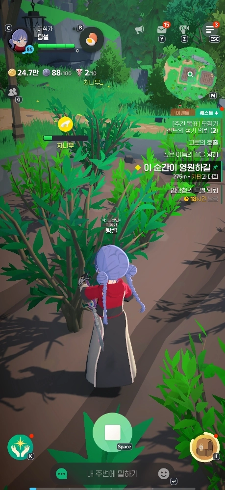 마비노기 모바일 황금 나뭇가지, 이것만 알면 당신도 무한 채집 전문가! (차나무, 벼락나무 공략)