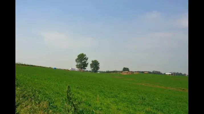 안성팜랜드 아이랑 가볼만한곳 후기 먹이주기와 꽃구경 코스 33 안성팜랜드 아이랑 가볼만한곳 후기 먹이주기와 꽃구경 코스