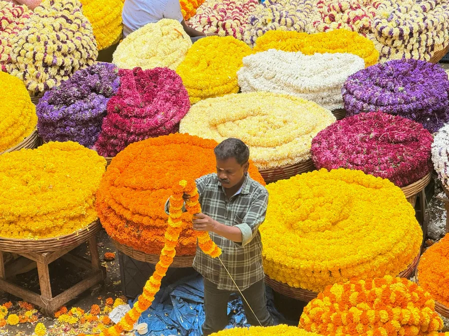 남대문 꽃시장 영업시간과 꽃가격 총정리 3 다양한 꽃 가격표가 보이는 장면