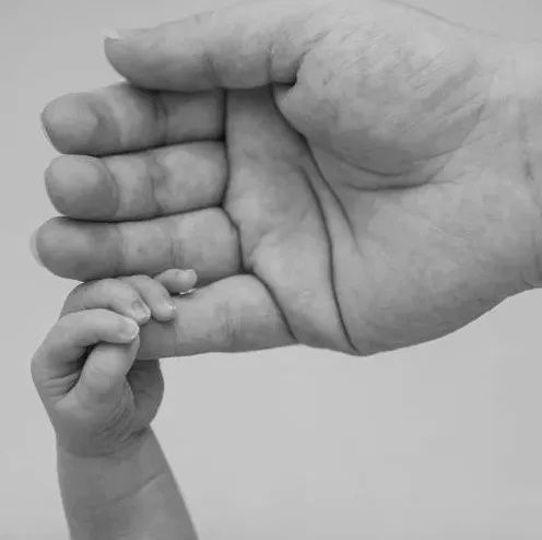 가족 식사를 유심히 보는 아기