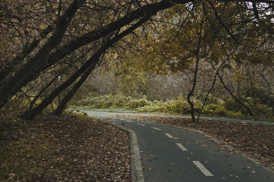 안양천 벚꽃 일몰 사진 포인트와 혼잡 피하는 시간 9 자전거도로 옆 벚꽃 라인