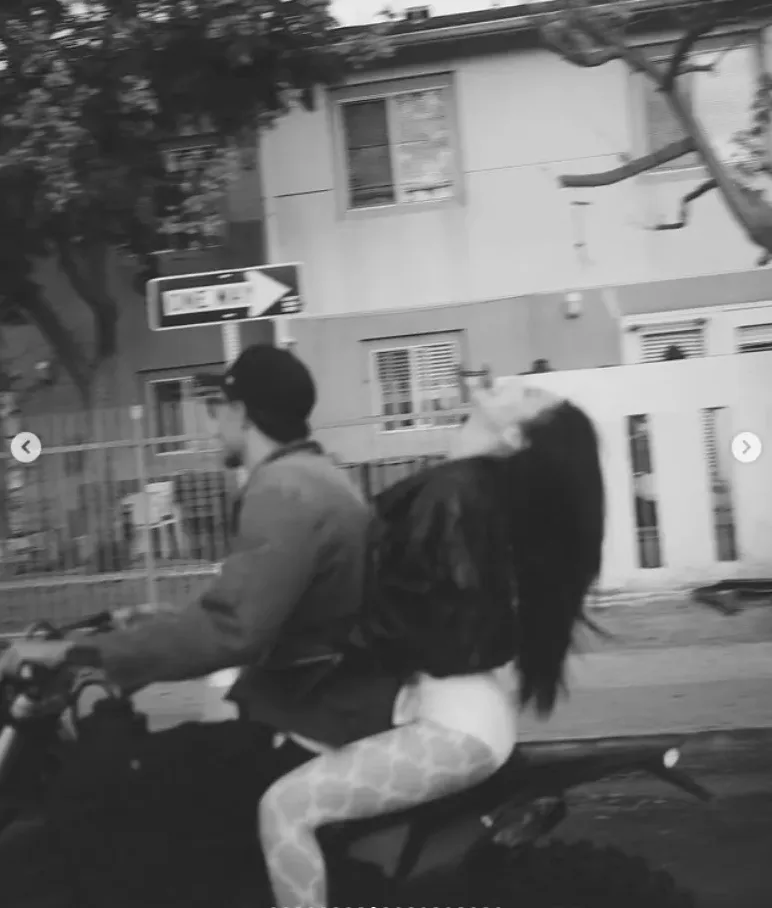 브레이드 헤어 패션 포트레이트