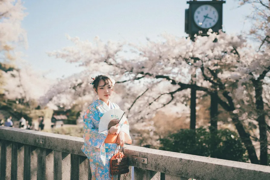 다리 위 벚꽃 전경