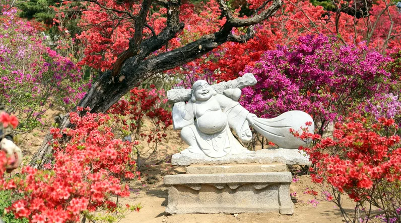 불암산 철쭉축제 주차와 산책코스 정리