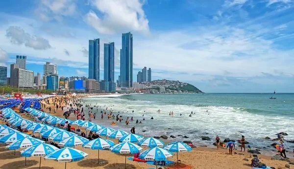 봄 절과 산책로 풍경