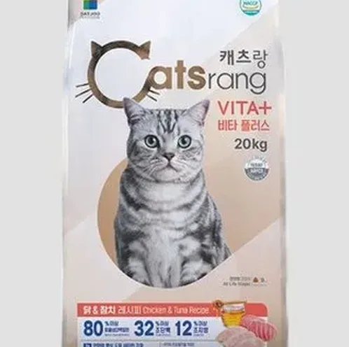 캣츠랑20KG 최저가와 대용량 사료 선택 팁 정리 2 고양이가 건사료를 먹는 모습