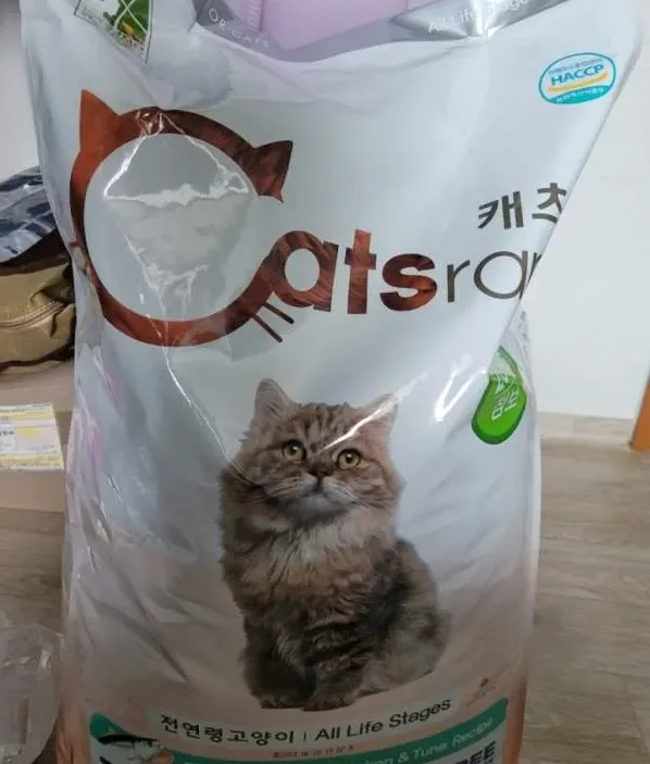 캣츠랑20KG 최저가와 대용량 사료 선택 팁 정리 4 야외에서 길고양이에게 사료를 주는 모습