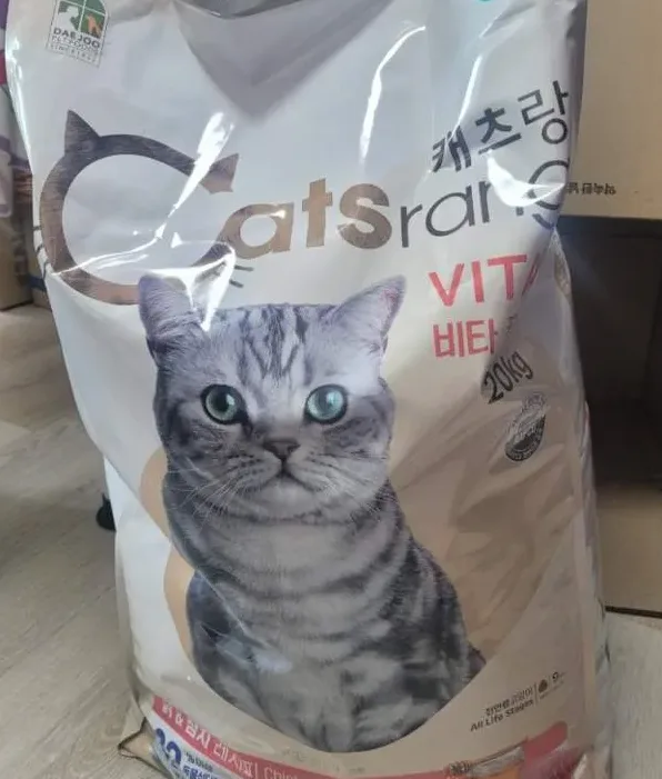 캣츠랑20KG 최저가와 대용량 사료 선택 팁 정리 1 대용량 고양이 사료 보관 모습