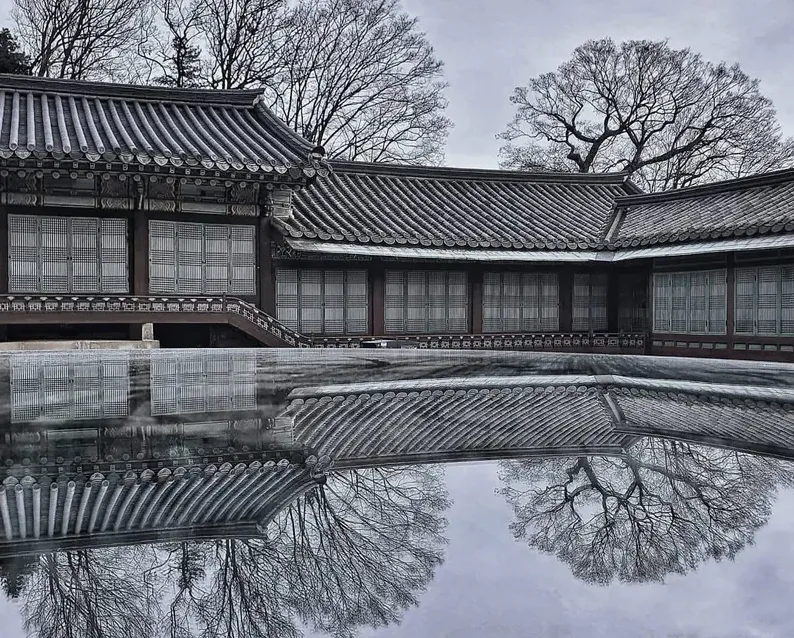 창경궁 물빛연화 야간 행사 분위기