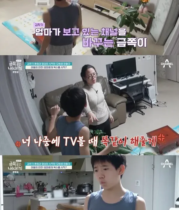 광주 금쪽같은 내새끼 교사 뇌진탕 사건 전말 정리