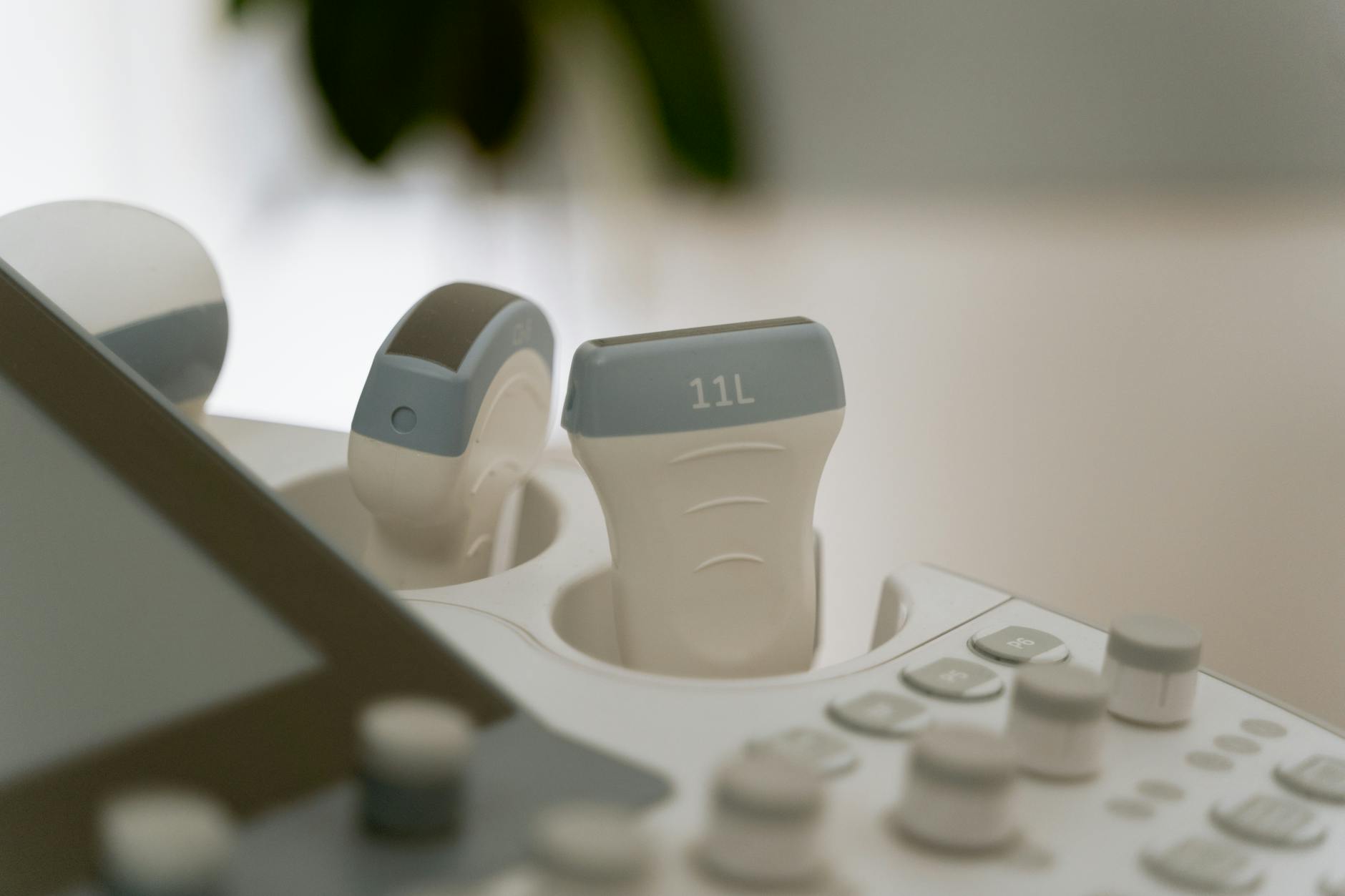 모니터 포트 클로즈업