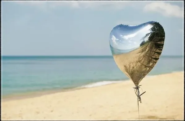 컴퓨터에서 특수기호 복사하는 장면