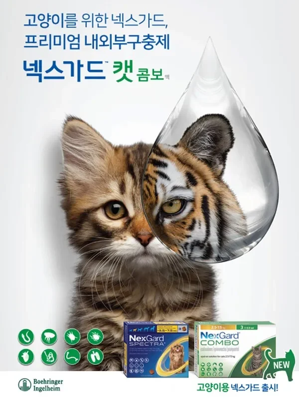 반려동물 건강 관리 달력