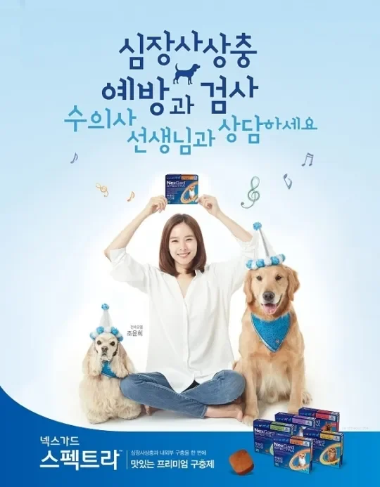 반려견 약을 확인하는 보호자