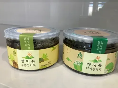 강아지 두릅 먹어도 될까 급여 전 주의할 점 정리 37 강아지 두릅 먹어도 될까 급여 전 주의할 점 정리