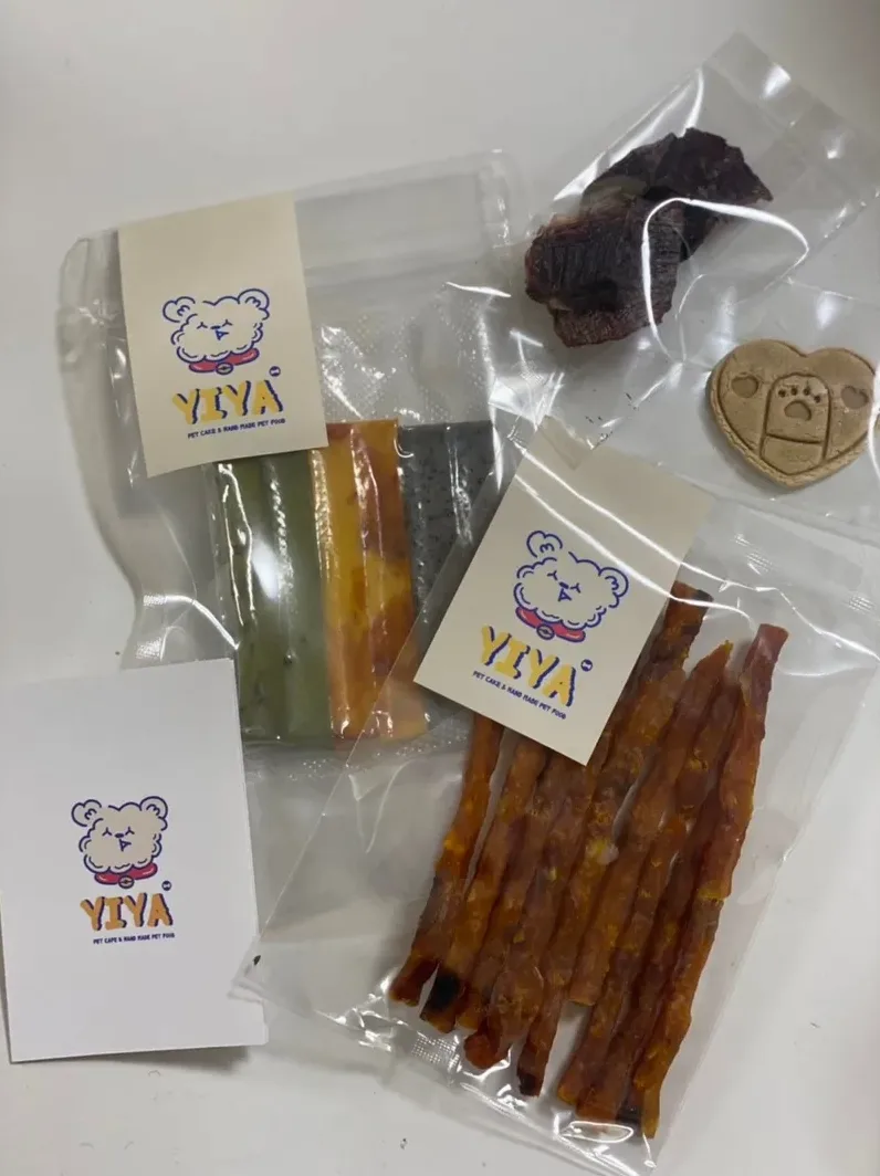 메리펫 논란 정리와 반려견 유치원 선택 기준 3 반려견 훈련 공간 실내 모습