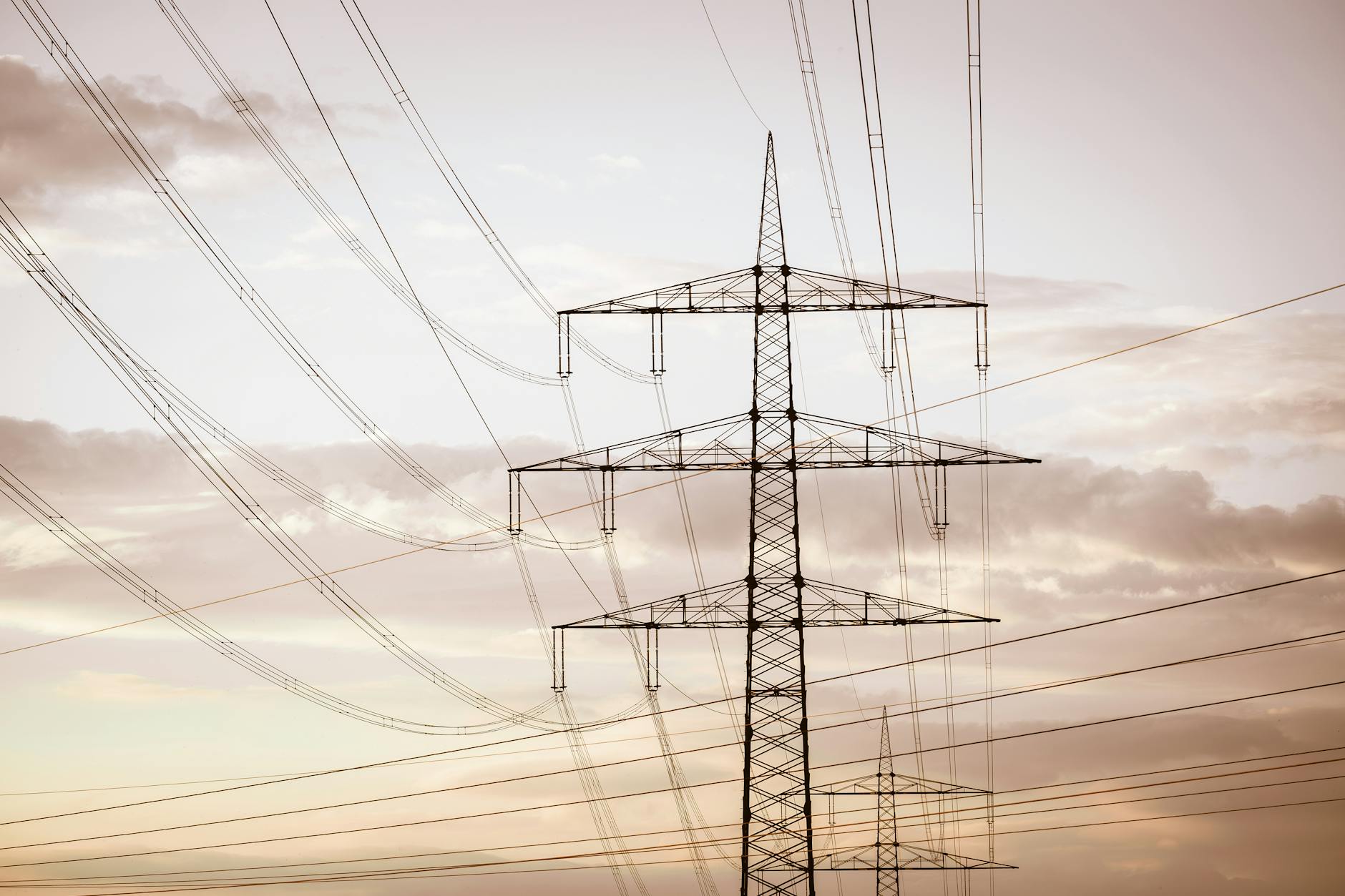 전기 서지 보호기