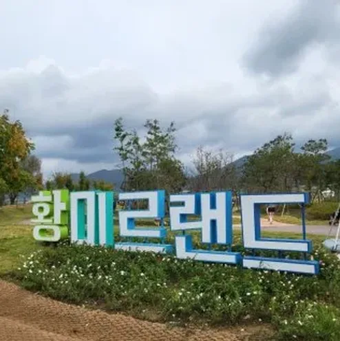 장성 황미르랜드 주차와 아이와 가볼만한 곳 정리 8 가족 나들이 체크리스트를 보는 장면
