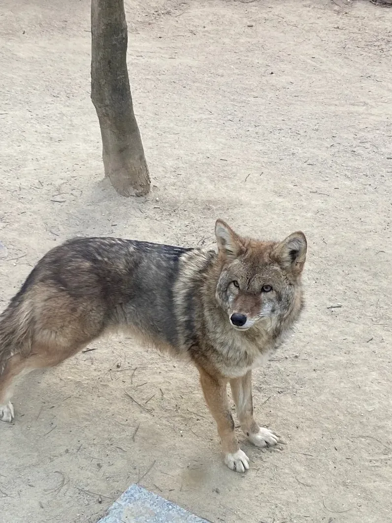 가족 안전 수칙을 점검하는 장면