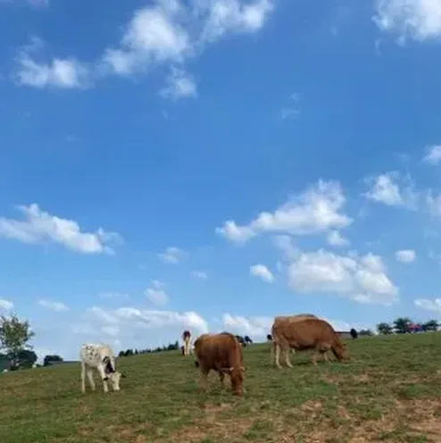 농장 입구 매표소 모습