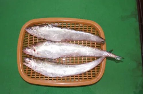 강 하구 해산물 분위기