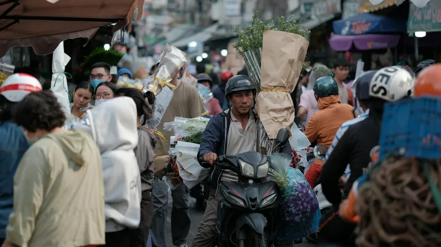 남대문 꽃시장 영업시간과 꽃가격 총정리 2 아침 시간 꽃시장 쇼핑 장면