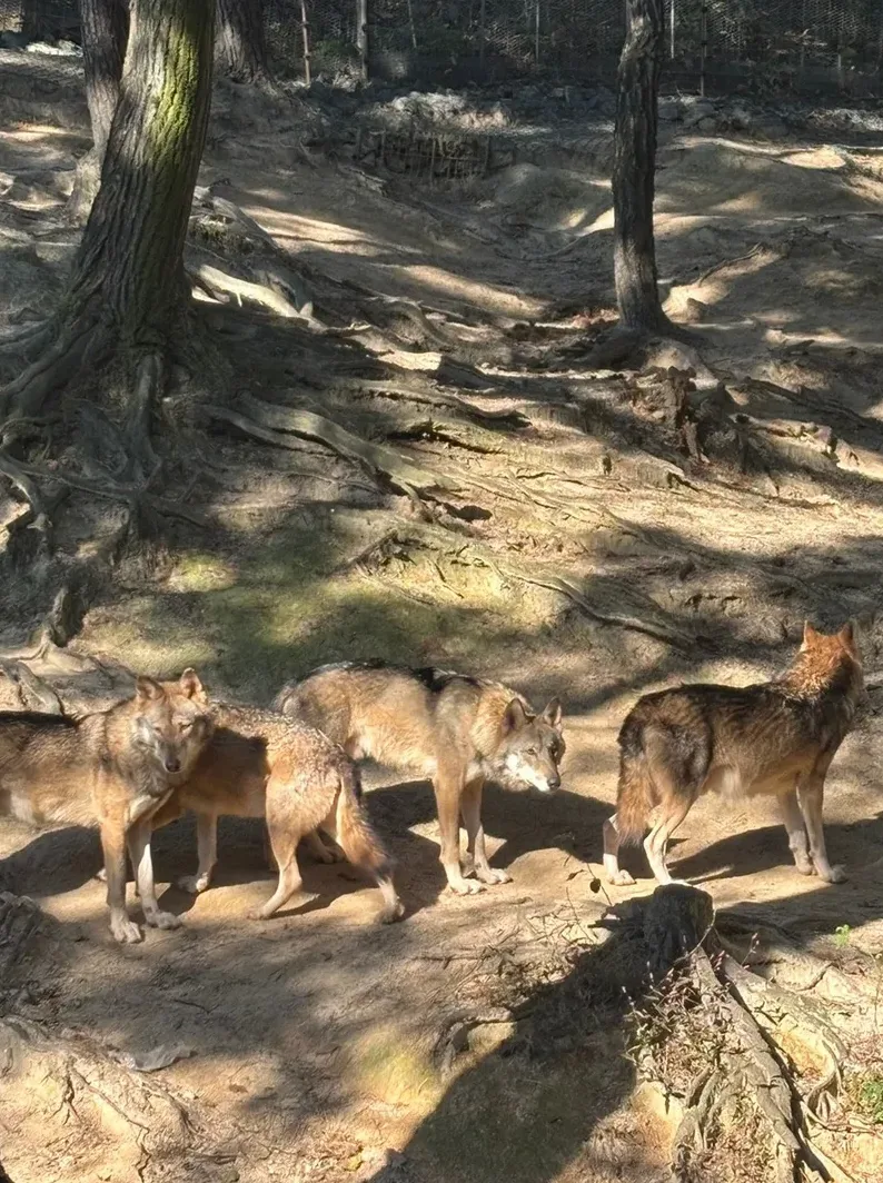 숲길과 산책로를 함께 보여주는 지도 이미지