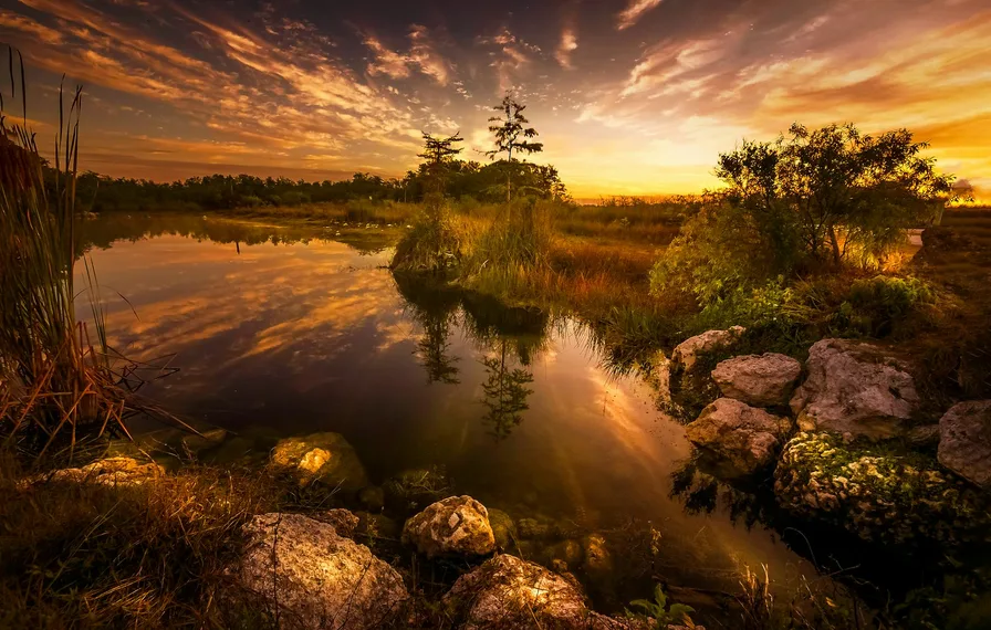 안양천 벚꽃 일몰 사진 포인트와 혼잡 피하는 시간 6 골든아워의 부드러운 강 표면