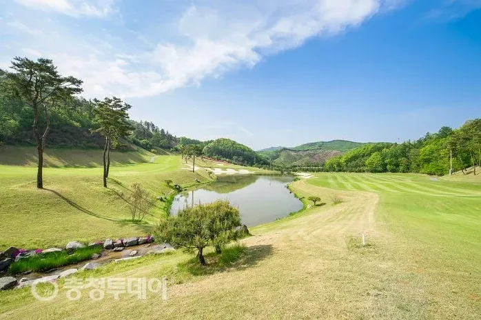 아침 햇살 속 골프 코스 전경
