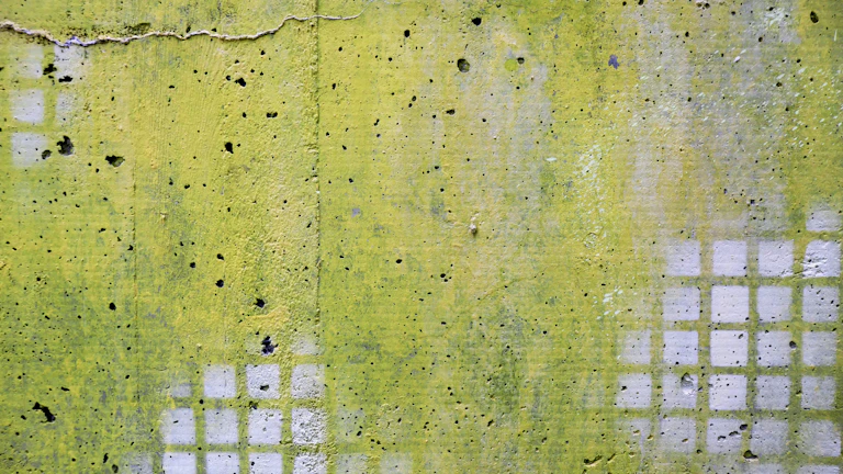 CPU 박스 확인 체크