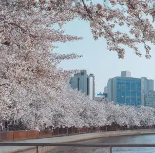프롬프트 금지 표현과 보정 예시