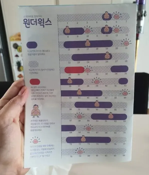 영아 발달 단계