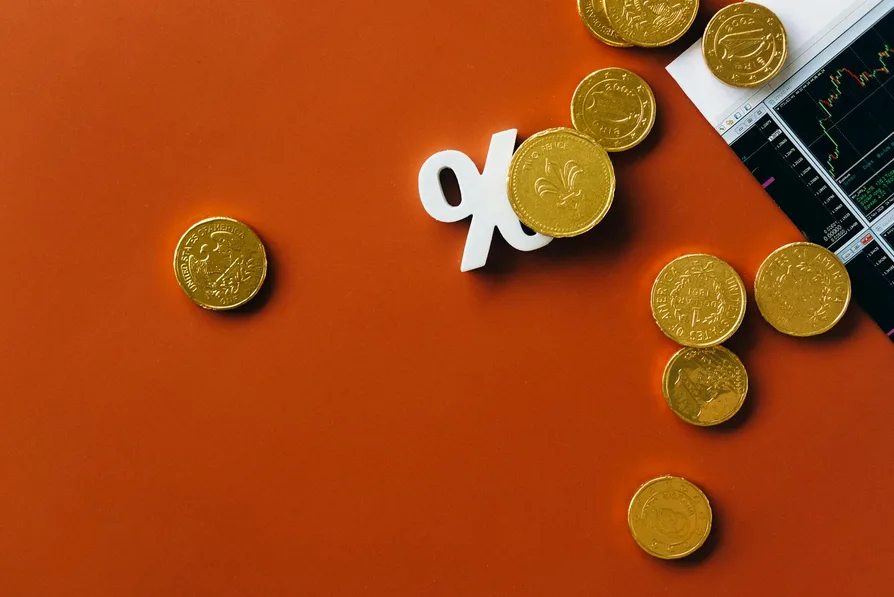 투자 포트폴리오 배치 이미지