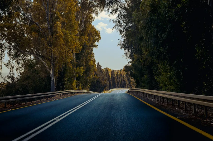 미야코지마 직항 항공부터 렌트 맛집까지 실전 팁 10 섬 도로 드라이브 장면