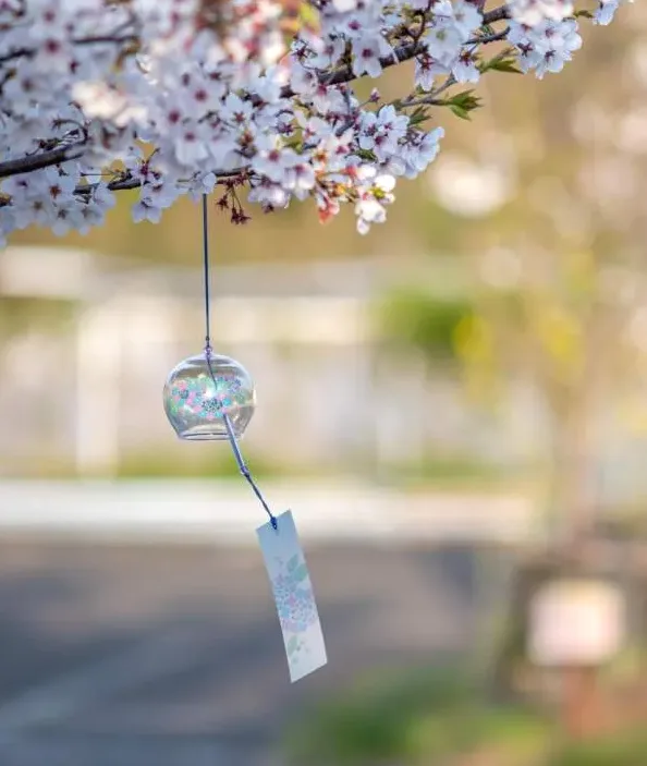 일본 온천에서 쉬는 여행