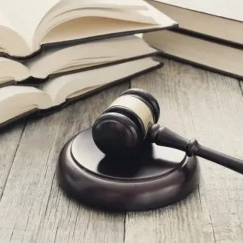 판사가 서류를 검토하는 장면