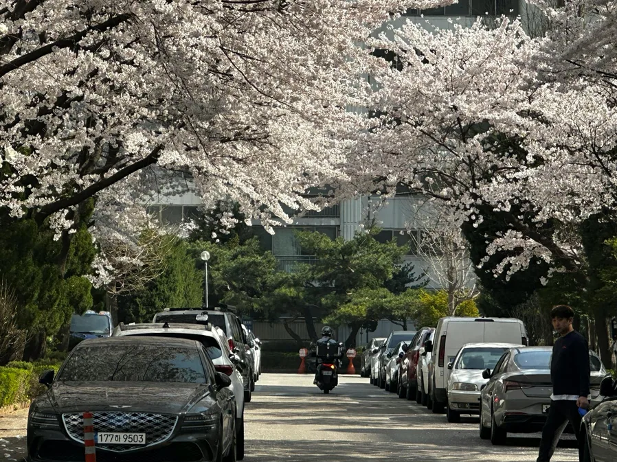 서산 인근 농로