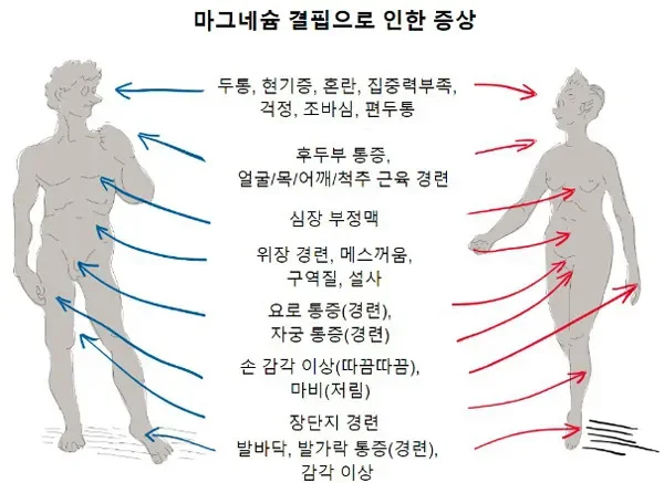 마그네슘 효능 제대로 보는 법 부작용과 복용팁 정리 5 마그네슘 효능 제대로 보는 법 부작용과 복용팁 정리