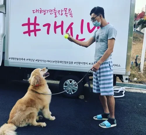 대형견 출장 목욕 가격과 비용 차이 한눈에 정리