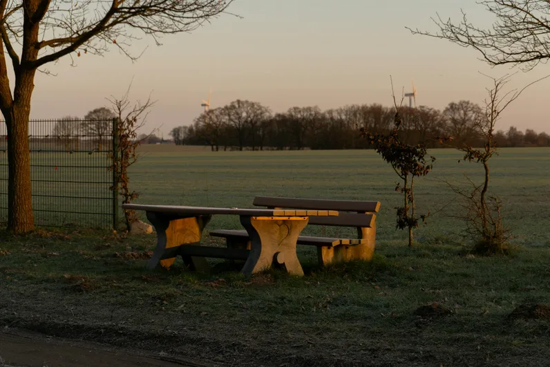 아침 시간 넓은 잔디밭 피크닉 자리