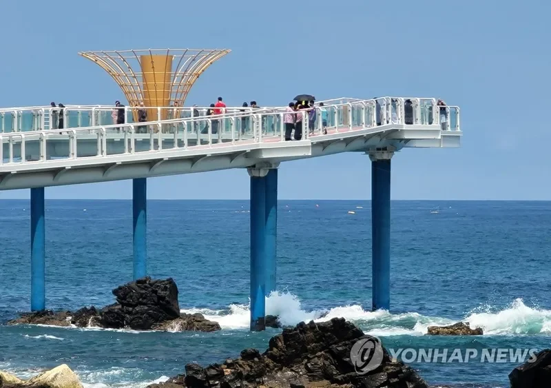 바다 따라 걷는 묵호 해안 산책 분위기