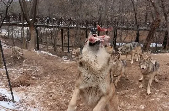 휴대폰으로 지역 뉴스를 확인하는 장면