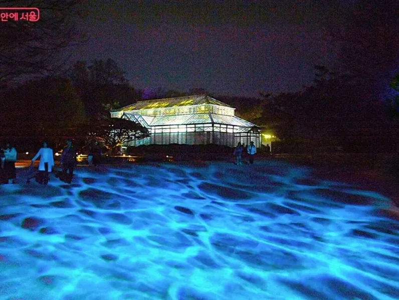 야간 궁궐 반사광 촬영