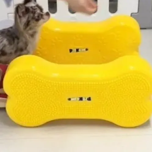 반려견 유치원 일일 보고서 예시