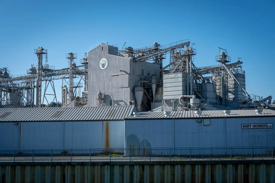 삼천당제약 주가 왜 하락했나 핵심 이슈 5가지