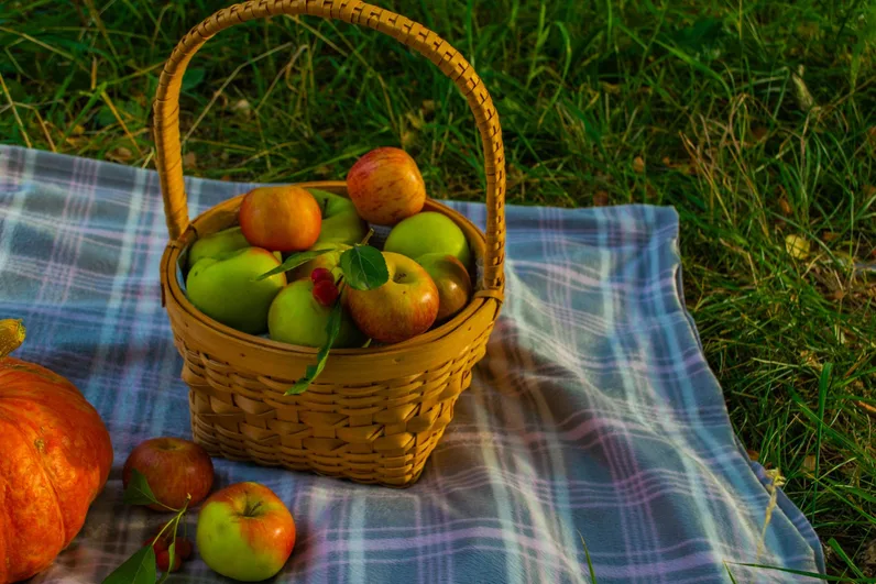 그늘 아래 돗자리 자리 잡기