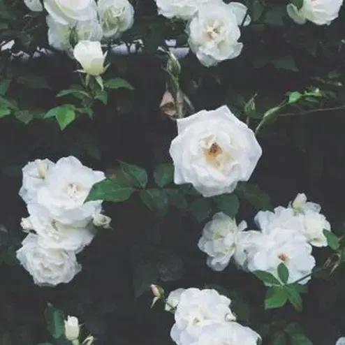 핑크 하늘 감성 배경