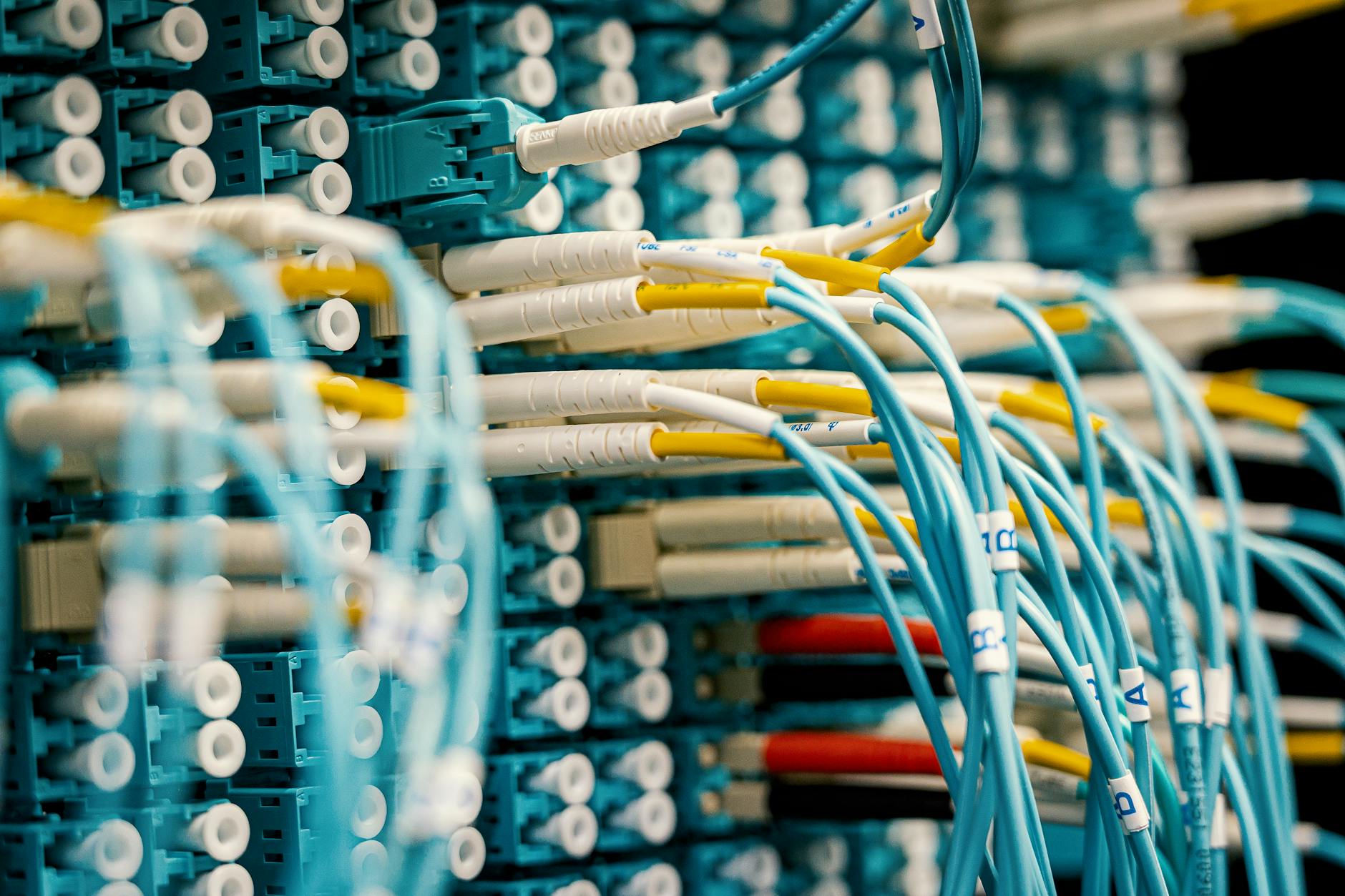 전선 케이블 정리